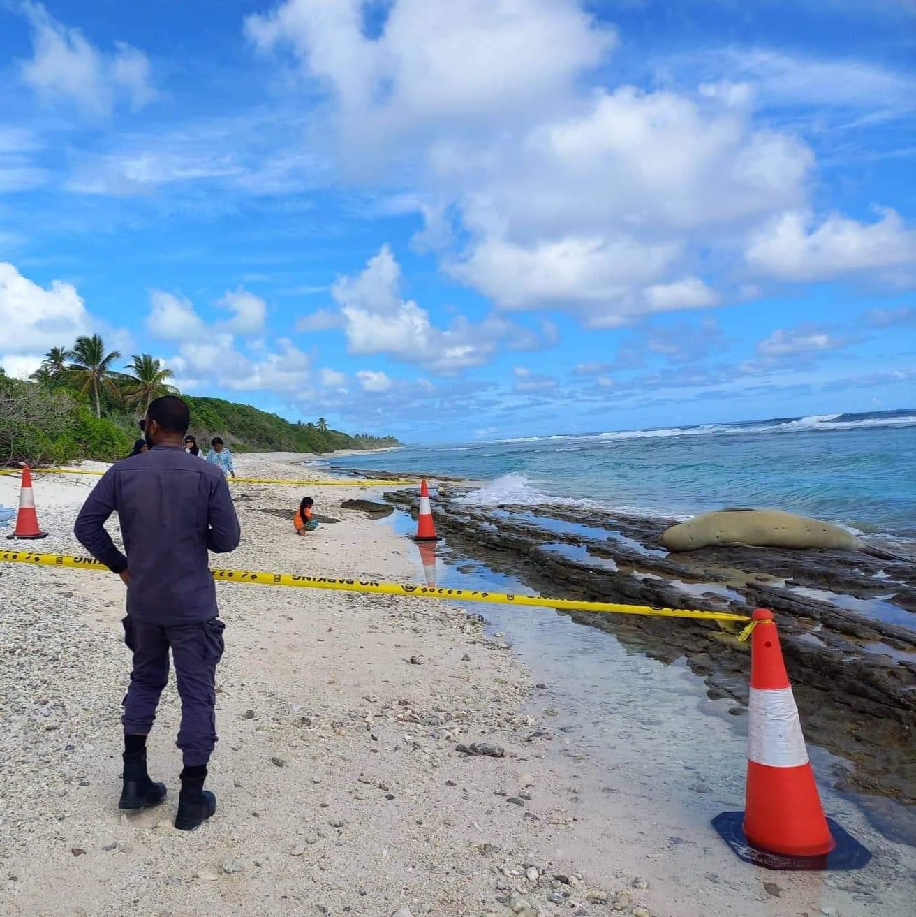 އައްޑޫއަށް އައި ސީލްއަށް ފުލުހުން ހިމާޔަތް ދީފި