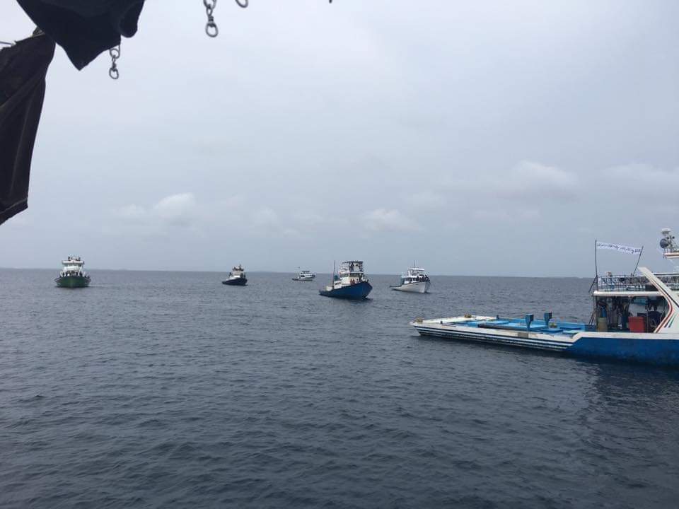 ހޮރައިޒަންއިން މަސް ގަންނަ އަގު ދަށްކޮށް، މަސް ގަތުން ކޮންޓްރޯލްކޮއްފި