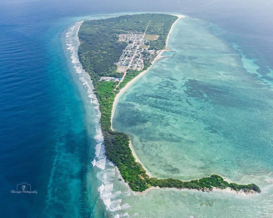 ކުޅެން ހުރި ކުއްޖެއްގެ ކަރު މައްޗަށް ގޯލު ވެއްޓި ނިޔާވެއްޖެ