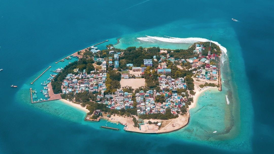 ސިޓީކައުންސިލުން ވިލިމާލޭގައި ބަގީގެ ހިދުމަތްދިނުމަށް 10 ބަގީ ގަނެފި
