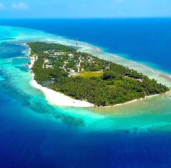 ބުރުނީގައި ރުކަކުން ޖެހި މީހަކު މަރުވެއްޖެ، 2 މީހުންގެ ހާލު ސީރިއަސް!