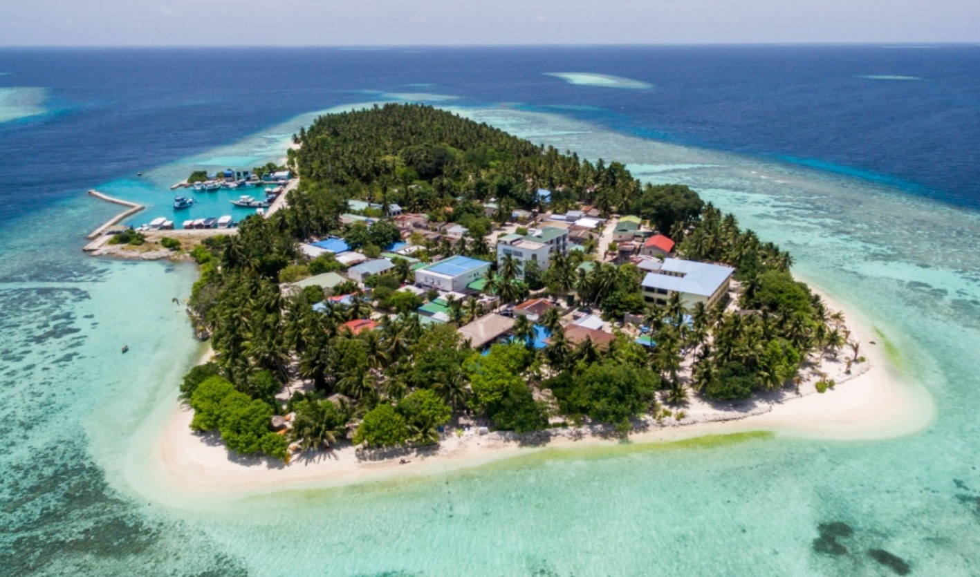 ޑަބްލިއުޑީީސީއަށް އިންތިހާބުވުމުން ހުވައެއް ނުކުރި، އަލުން އިއުލާނުކުރުމުން ކުރިމަތިލާނެ ބަޔަކު ނުވި!