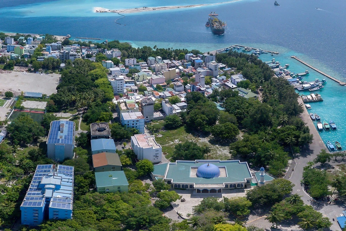 ވަގުން! ހުސް ވަގުން!