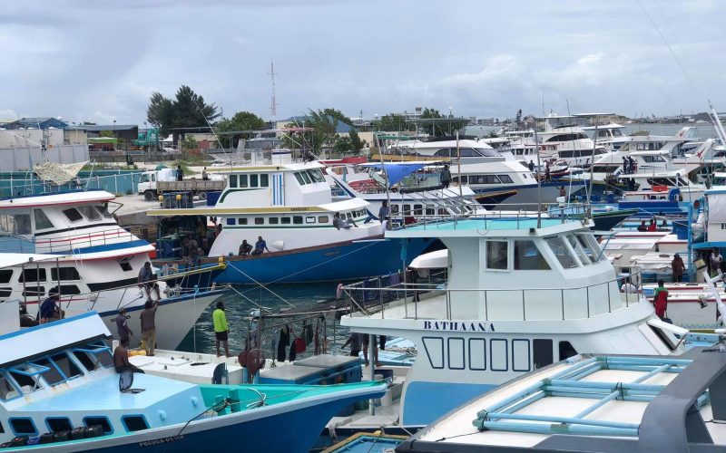 ބޮޑުކަންނެލި ނުކިރިގެން މަސްވެރިން ކަންބޮޑުވުން ފާޅުކޮށްފި