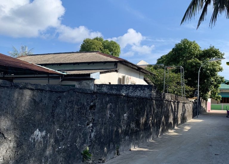 ދިޔަމިގިލި ގަނޑުވަރު ސައިޓް މިއުޒިއަމެއްގެ ގޮތުގައި ތަރައްގީކުރާނެ ބަޔަކު ހޯދަނީ