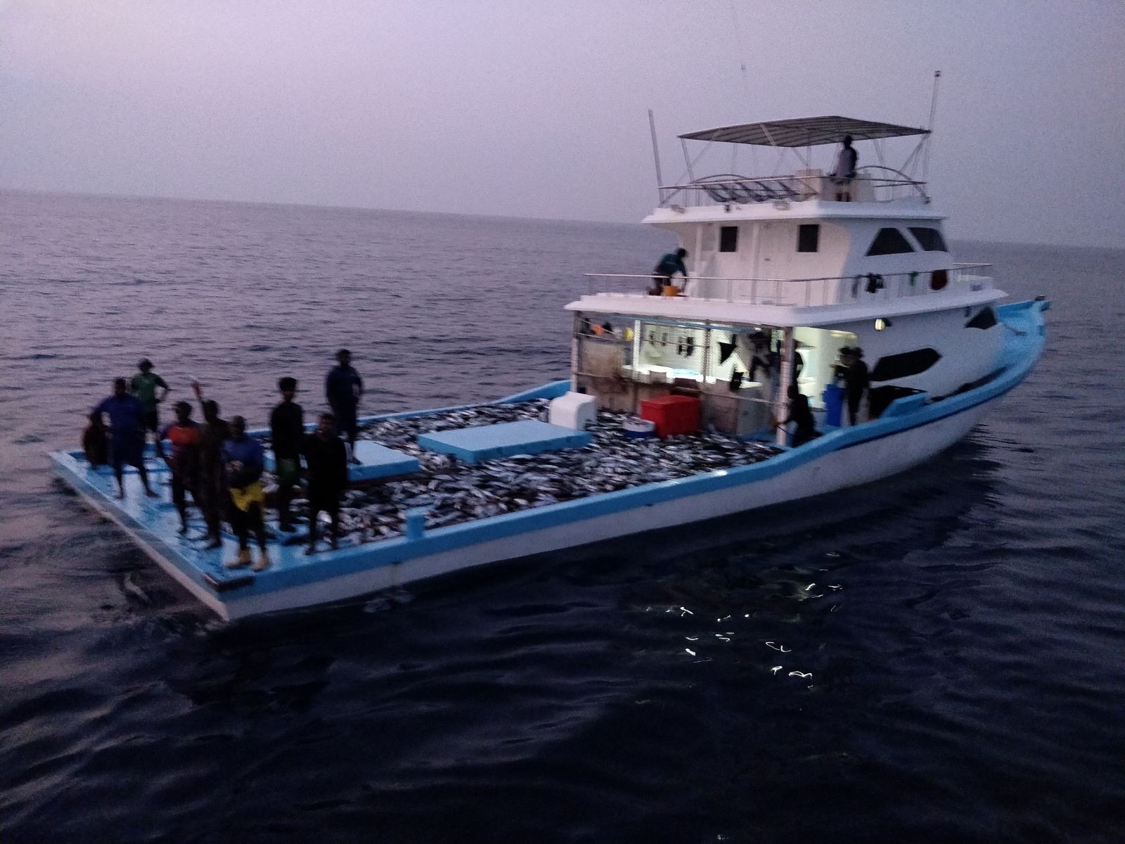 މަސްވެރިންގެ ކޯޕަރެޓިވް ސޮސައިޓީއަކުން ނަތީޖާ ނެރެވިދާނެތަ؟