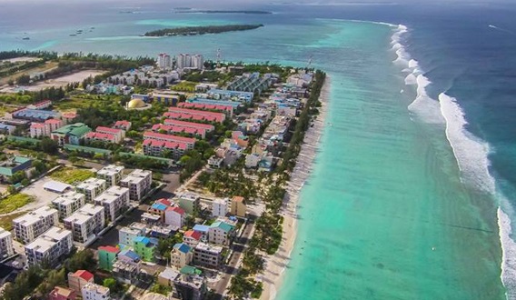 ދޯންޏެއްގެ ބުރަފަތީގައި ޖެހި ފަތުރުވެރިއަކު ޒަހަމްވެެއްޖެ
