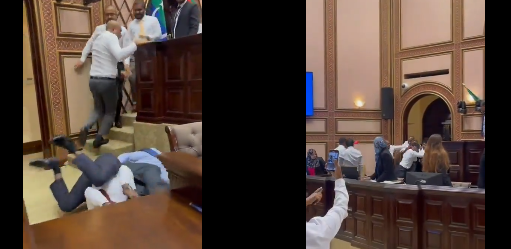 މަޖިލިސް ތަޅުމުގައި މާރާމާރީ ވެސް ހިންގައިފި