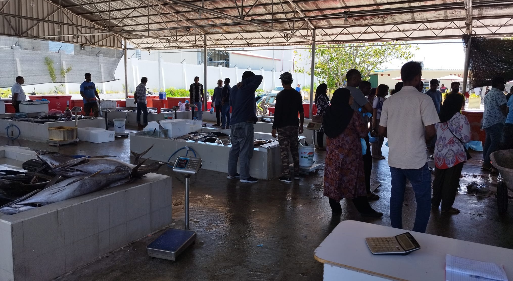 ހުޅުމާލެ މަސްމާރުކޭޓް ހިންގާނެ ބަޔަކު ހޯދަނީ