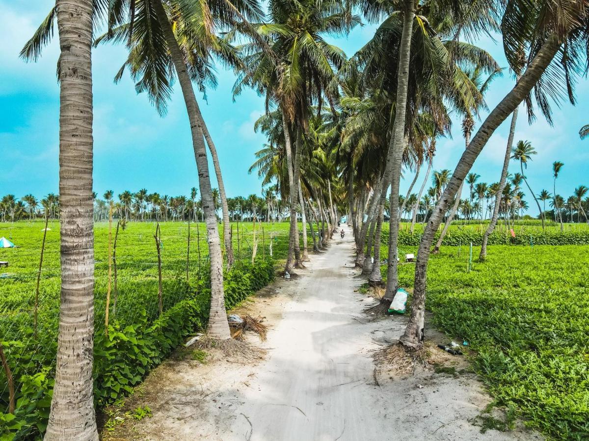 ތޮއްޑޫގައި ޓޫރިސްޓަކަށް ހަމަލާދީ ޒަހަމްކޮށްލައިފި