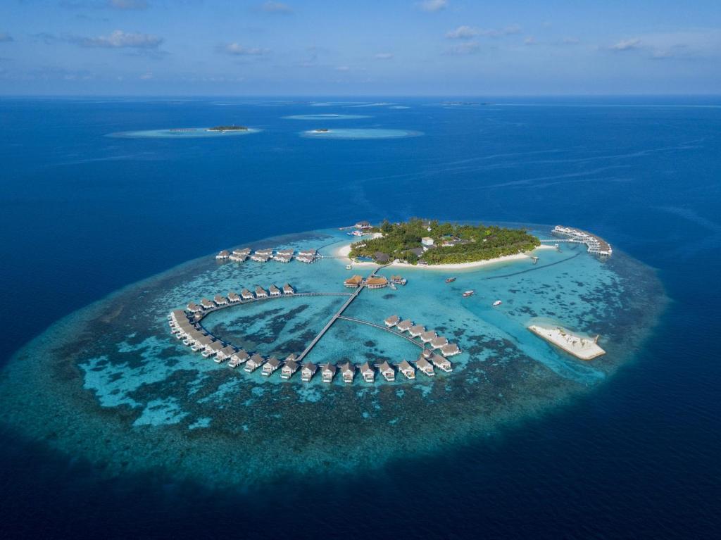 ގެނބުނު ފަތުރުވެރިއަކު ސަލާމަތްކުރަން މޫދަށް އެރުނު ދިވެއްސަކު މަރު!