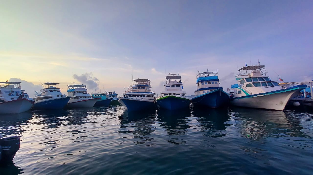 ކަންނެލި ދޯނިތައް ރަސްމީ ފާލަމާދިމާލަށް އަންނަން ޖެހުނީ ސަރުކާރުން ސަމާލުކަން ނުދިނުމުން: މަސްވެރިން