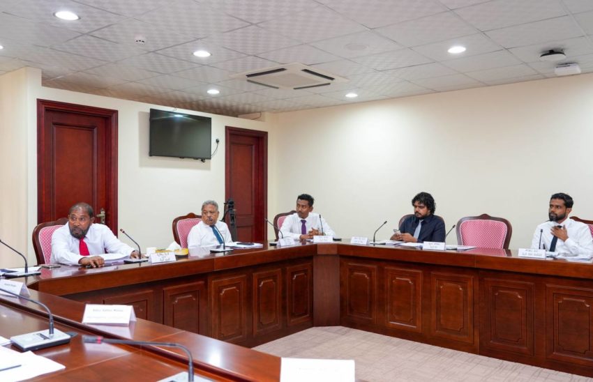 ހިލޭ ގޯތި ދިނުމުން އެޗްޑީސީއަށް ލިބުނު ގެއްލުން އޮޑިޓްކުރަނީ