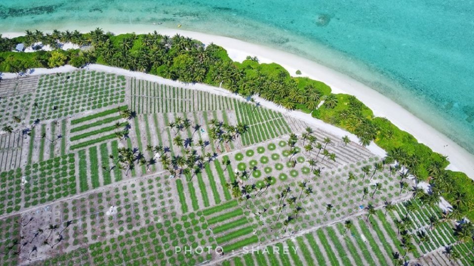 ދަނޑުވެރިންގެ ދުވަސް ކުރިން އޮތް ގޮތަށް އޮގަސްޓް 10 އަށް ބަދަލުކޮށްފި