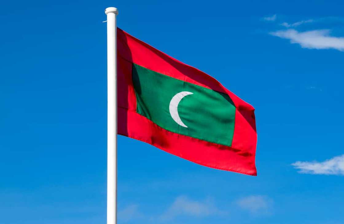 ދިވެހި ދިދައަށް ހިމާޔަތުގެ ގާނޫނެއް ހަދަނީ