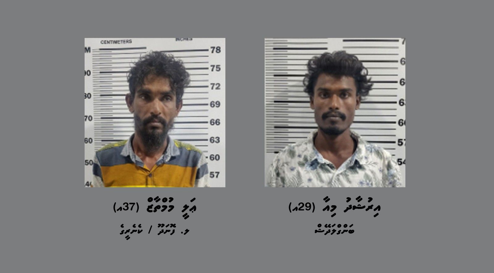 މަސްތުވާތަކެއްޗާ އެކު ދޯންޏަކުން ދެމީހަކު ހައްޔަރު ކޮށްފި