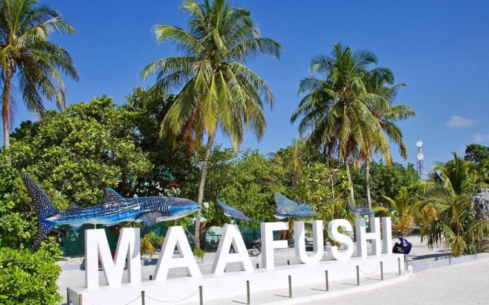 ޑައިވިނަށް ގޮސް އުޅުނު ޓޫރިސްޓަކަށް މިޔަރެއް ހަމަލާދީފި