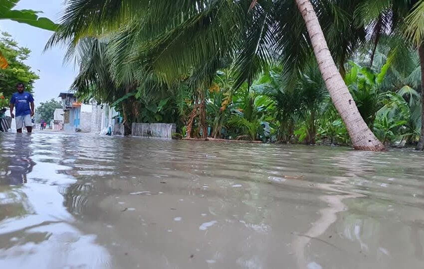 ތޮށިލާފައި ނެތުމުން އުދައަރައި، ނަރުދޫ ފެނުއަޑީގައި