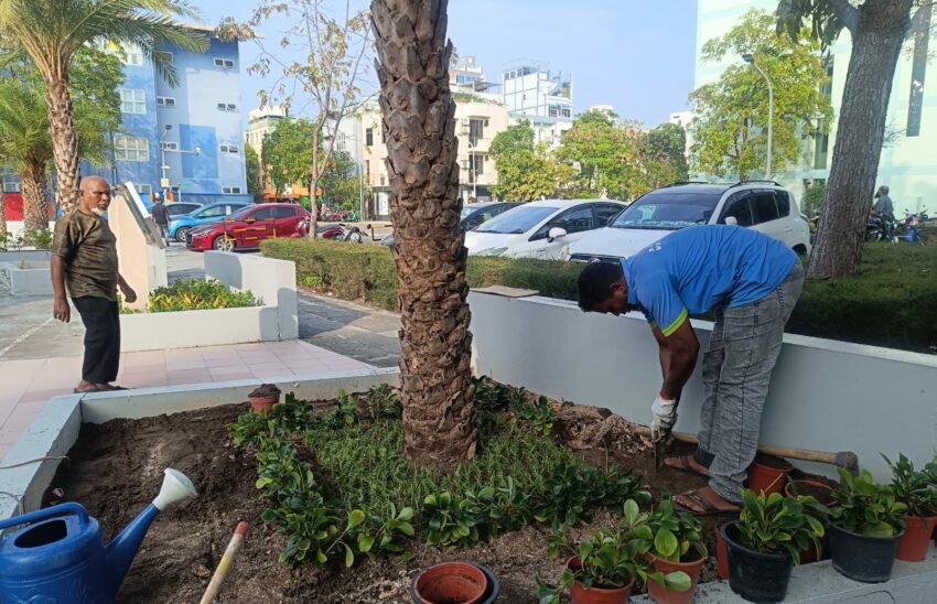 މިސްކިތްތައް ޒީނަތްތެރިކުރަން ފަށައިފި