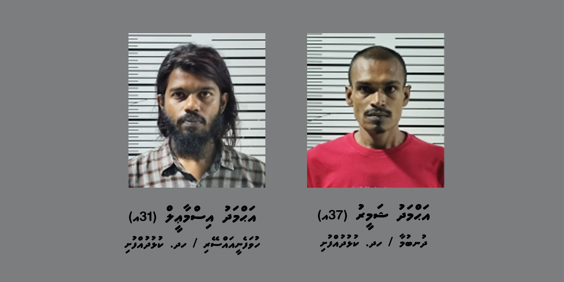މިލަންދޫ އަށް މަސްތުވާތަކެތި އެތެރެކުރަން އުޅުނު ދެ މީހަކު ހައްޔަރުކޮށްފި