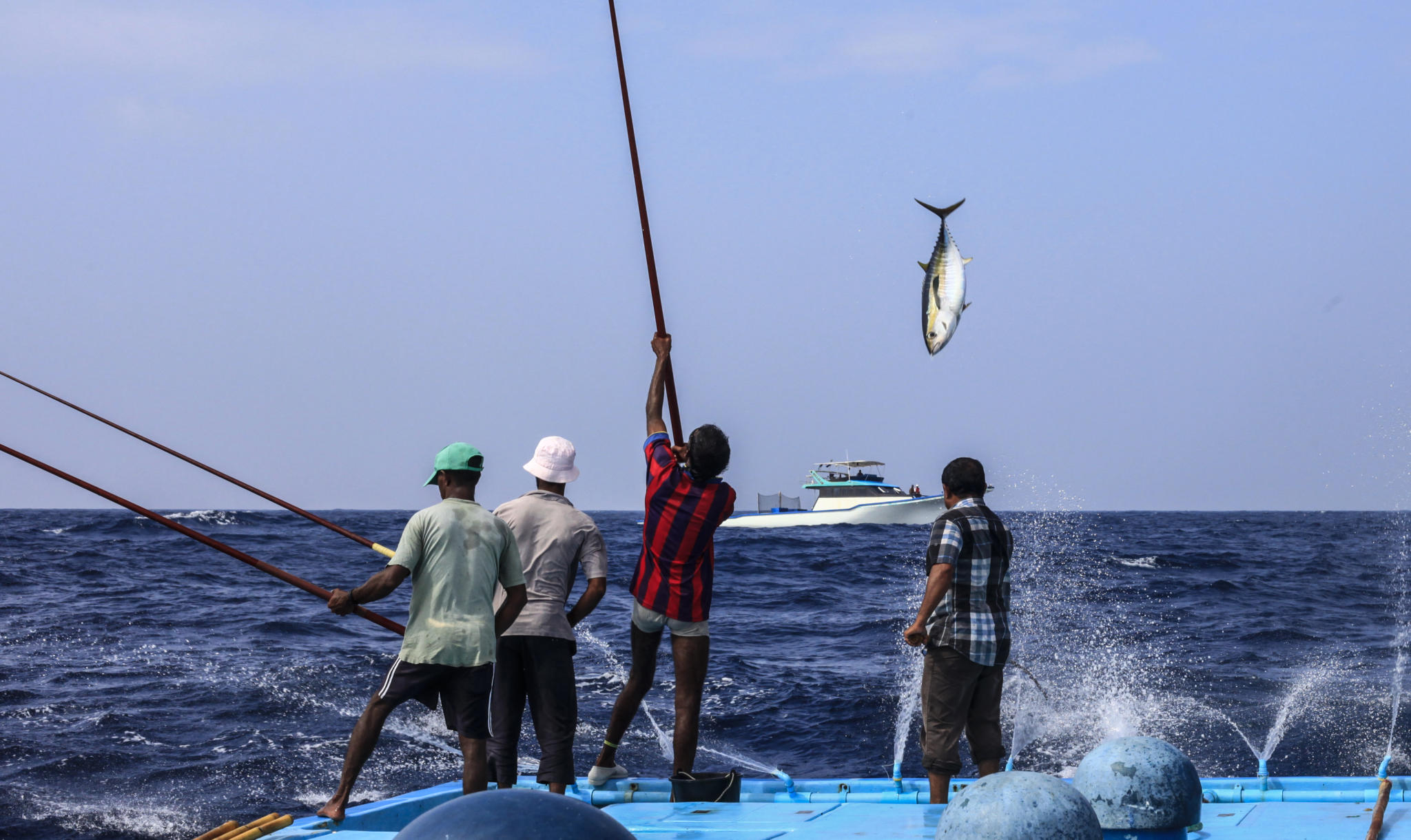 ސިނާއަތް ހަރުދަނާކުރުމަށް މިފްކޯއިން 64 މިލިއަން ޑޮލަރުގެ މަޝްރޫއުއެއް މިފްކޯއިން ފަށަނީ