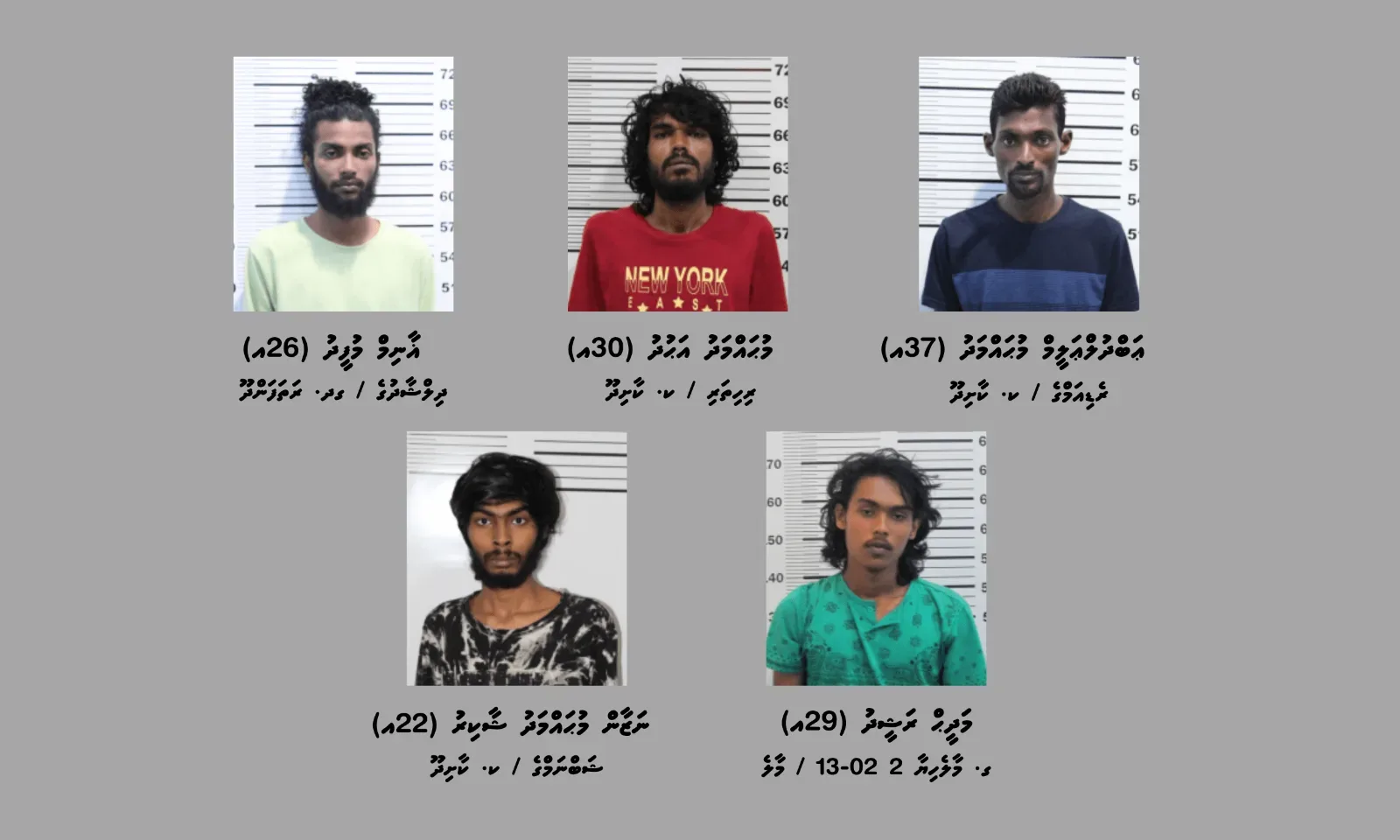 ކާށިދޫގަ މަސްތުވާތަކެތި ވިއްކާ ގުރޫޕެއް ހައްޔަރުކޮށްފި