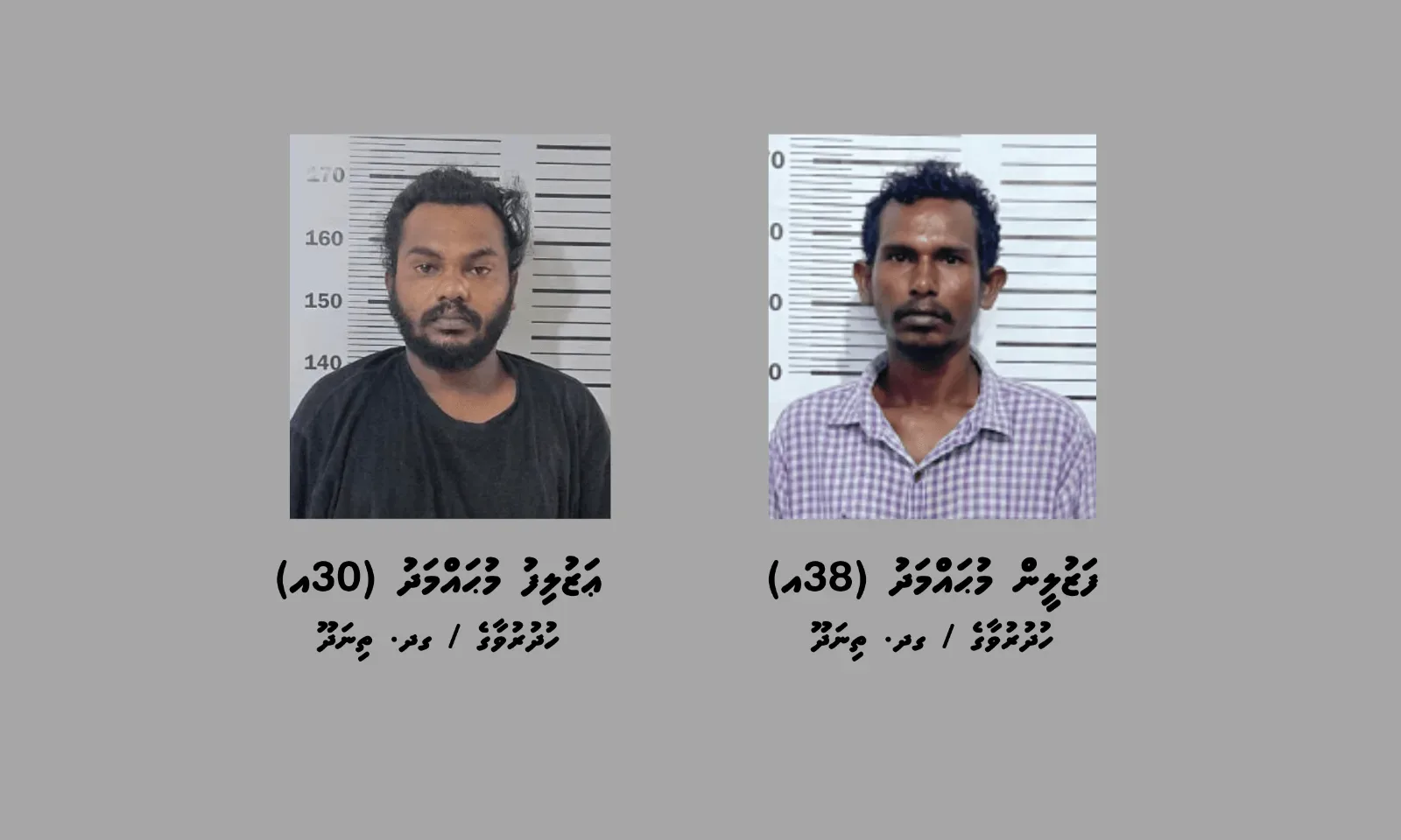 މަސްތުވާތަކެތީގެ ނެޓްވޯކެއްގައި އިސްކޮށް ހަރަކާތްތެރިވާ 2 ބެއިން ހައްޔަރުކޮށްފި