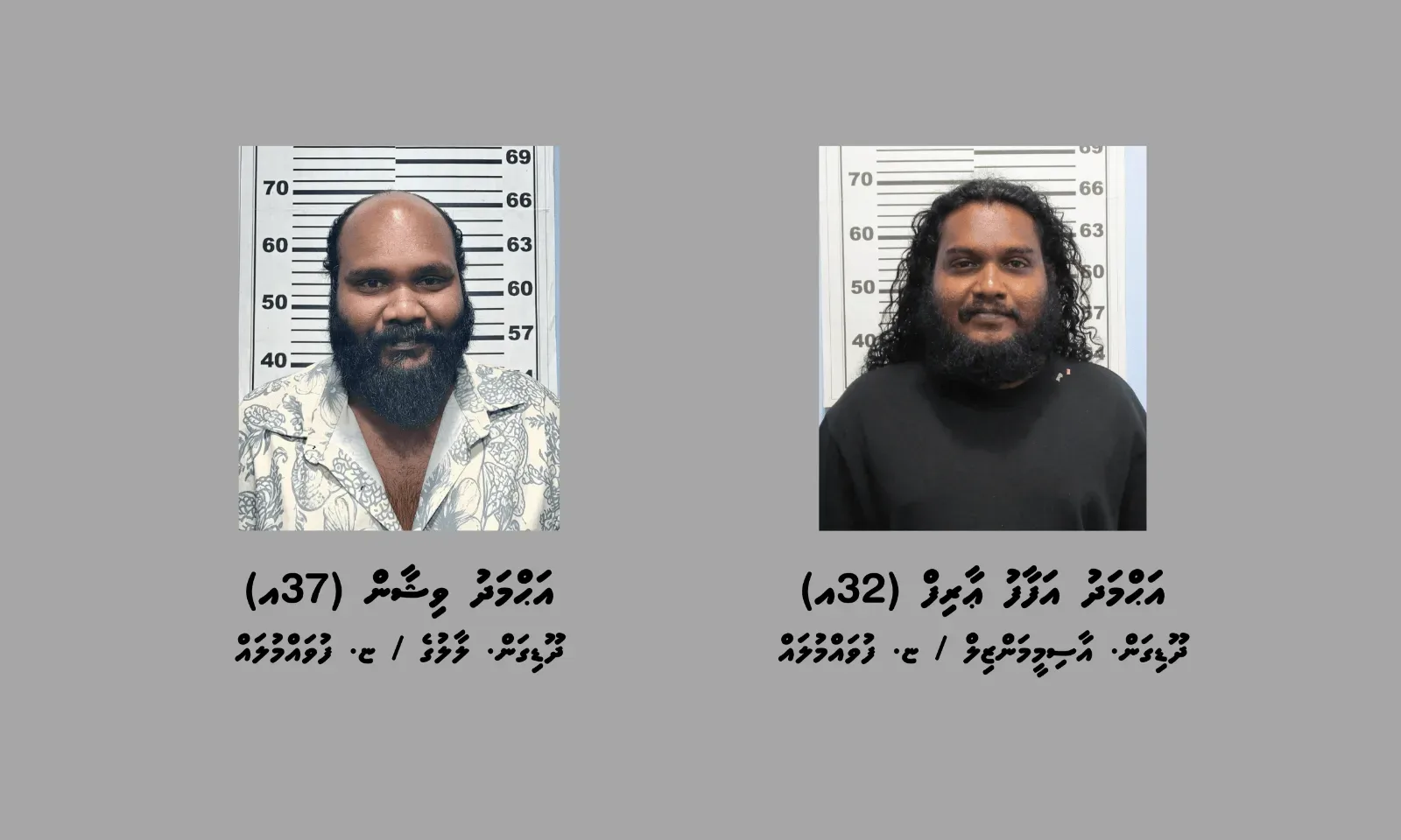 ފުވައްމުލަކުގައި މަސްތުވާތަކެތި ވިއްކާ 2 މީހަކު ހައްޔަރުކޮށްފި