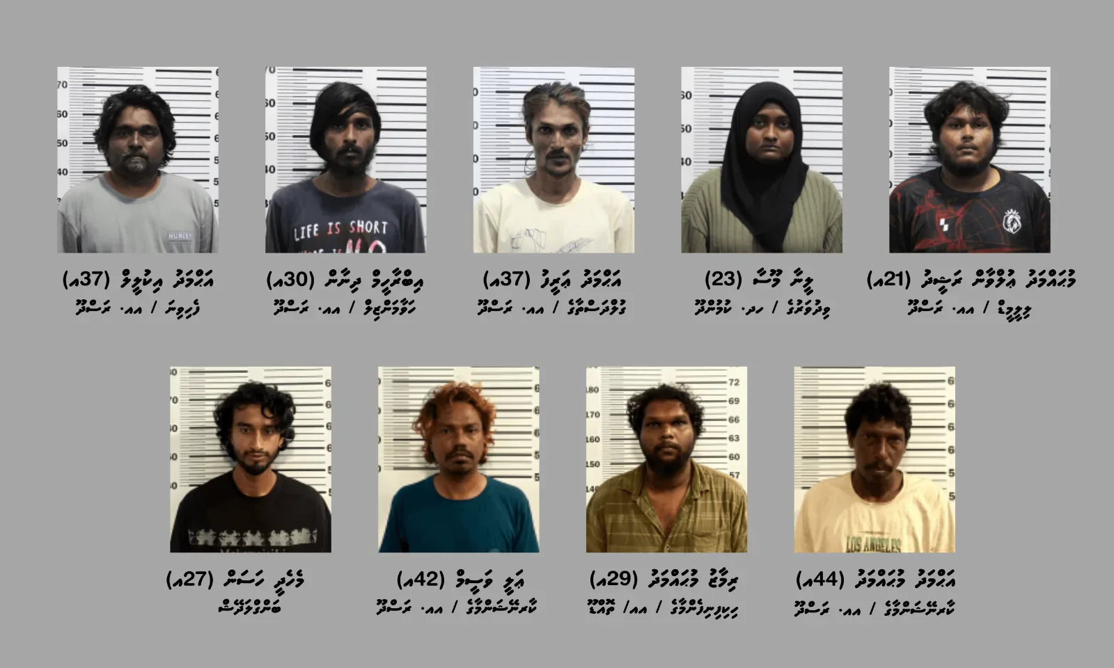 މަސްތުވާތަކެތީގެ މުއާމަލާތްކުރާ ގުރޫޕެއް ރަސްދޫއިން ހައްޔަރުކޮށްފި